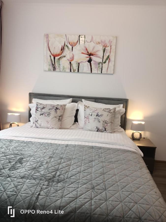 D&N Relax Apartment 布拉索夫 外观 照片